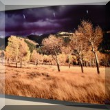 A01. Limited edition signed Yellowstone, Montana photograph on metal by Thomas Mangelsen “Winds of Change” 40”h x 60”w 